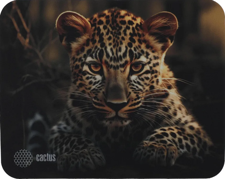 Коврик для мыши Cactus Leopard (CS-MP-D06S***); ткань + резиновая основа; 250 х 200 х 3 мм; игровая поверхность; рисунок