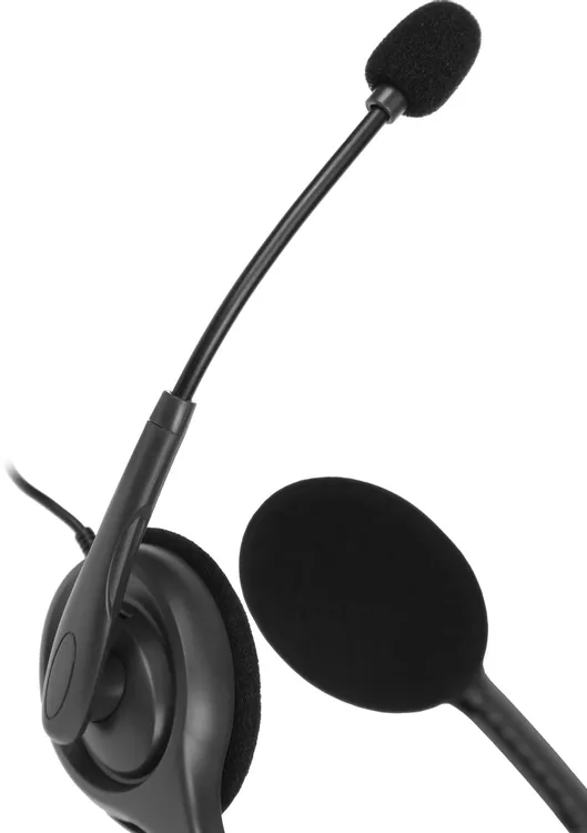 Гарнитура накладные Logitech H111 Stereo Headset (981-000594***); оголовье (headband); 20 - 20 000 Г