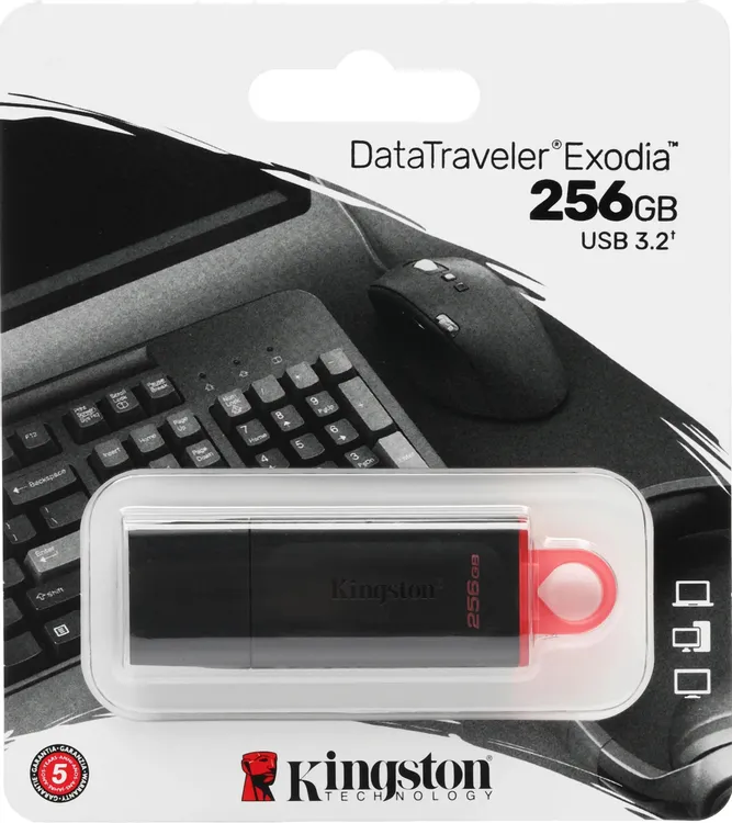 Накопитель USB-флэш 256 ГБ Kingston DataTraveler Exodia (DTX/256GB***); USB 3.2; классическая