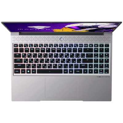 Ноутбук 16" Machenike L16 Pro Stellar S (JJ00GN00FRU); 2560x1600 IPS 240 Гц; Intel Core i7-13650HX; 32 Гб/1 Тб; NVIDIA GeForce RTX 4070 -; 8Гб; NO OS;