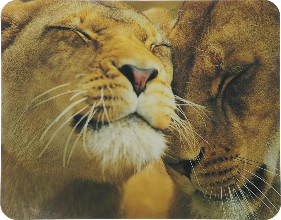 Коврик для мыши Buro Leon (BU-M40030); ПВХ + резиновая основа; 230 x 180 x 2 мм; рисунок; лев