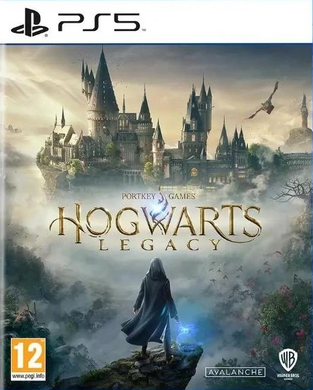 Диск игровой Sony PS5 Hogwarts Legacy